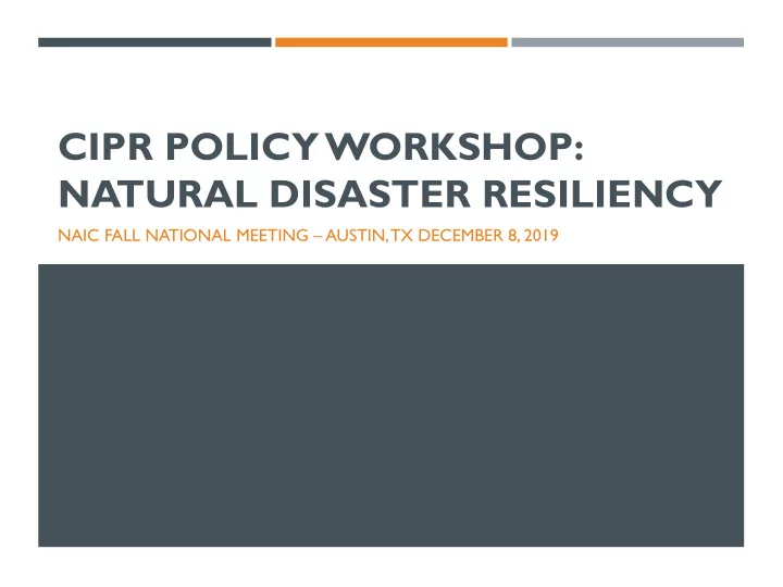 cipr policy workshop
