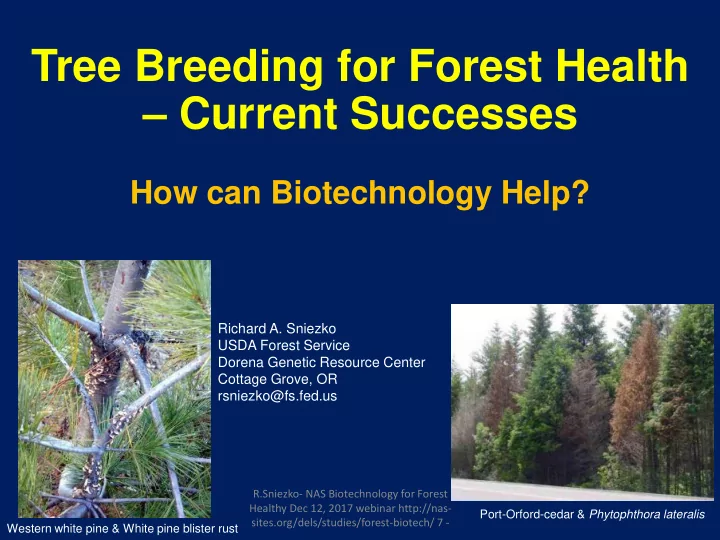 tree breeding for forest health