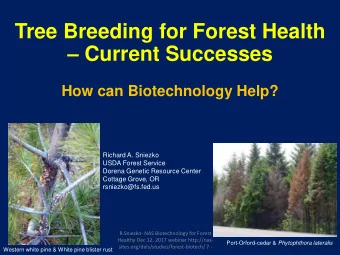 Tree Breeding for Forest Health  Current Successes  How can Biotechnology Help?  Richard A.