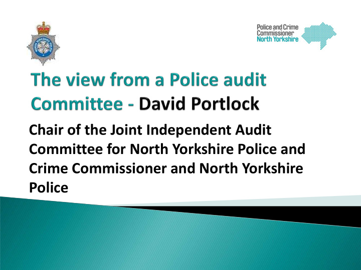 chair of the joint independent audit
