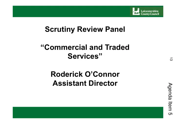 scrutiny review panel commercial and traded services