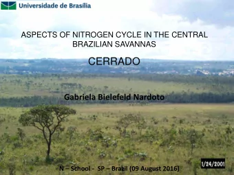 Gabriela Bielefeld Nardoto N  School -  SP  Brazil (09 August 2016)  South American and