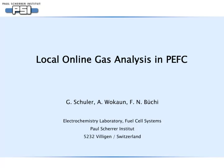 local online gas analysis in pefc local online gas