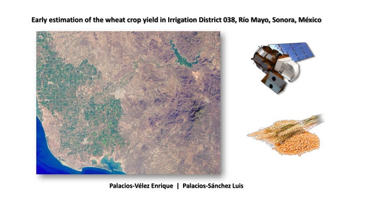 early estimation of the wheat crop yield in irrigation