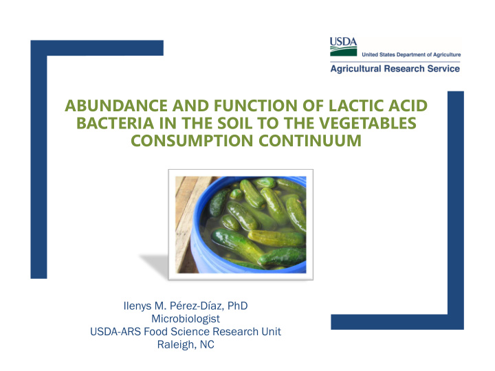abundance and function of lactic acid bacteria in the