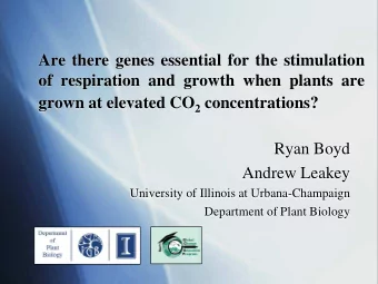 Are there genes essential for the stimulation  of respiration and growth when plants are grown at