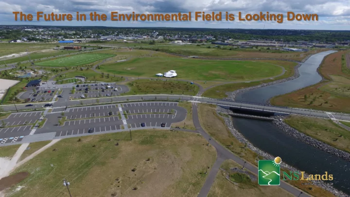 the future in the environmental field is looking down