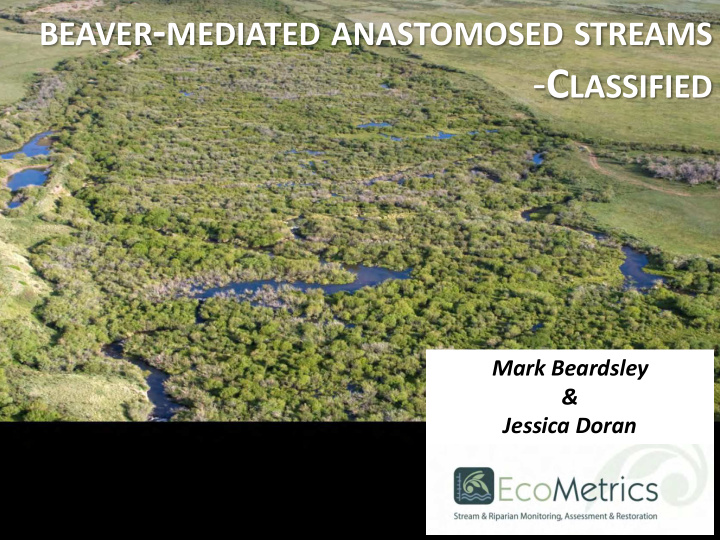 beaver mediated anastomosed streams c lassified