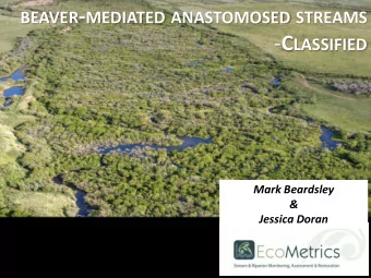 BEAVER - MEDIATED ANASTOMOSED STREAMS - C LASSIFIED  Mark Beardsley  &amp;  Jessica Doran  The