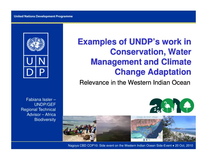 examples of undp s work in examples of undp s work in