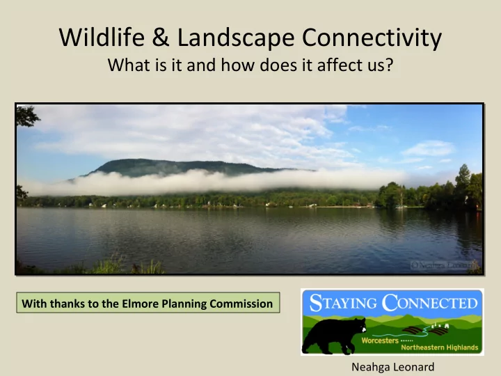 wildlife amp landscape connectivity