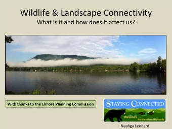Wildlife &amp; Landscape Connectivity  What is it and how does it affect us?  With thanks to the