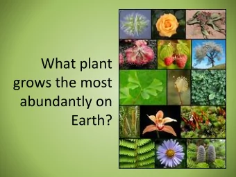 What plant  grows the most  abundantly on  Earth?  Algae: Tiny Plants  with Big Energy Potential