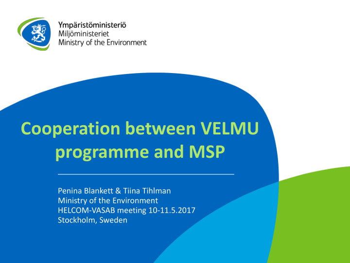 cooperation between velmu programme and msp