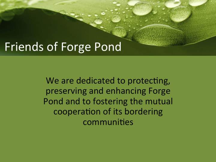 friends of forge pond