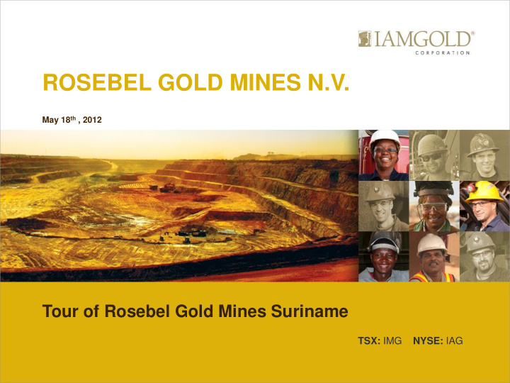 rosebel gold mines n v