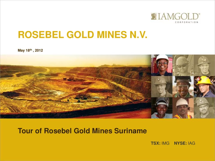 rosebel gold mines n v