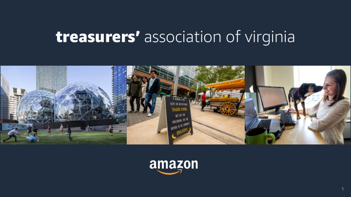 treasurers association of virginia