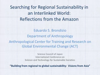 Searching for Regional Sustainability in  an Interlinked World:  Reflections from the Amazon