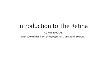 Introduction to The Retina  A.L. Yuille (UCLA).  With some slides from Zhaoping Li (UCL) and other