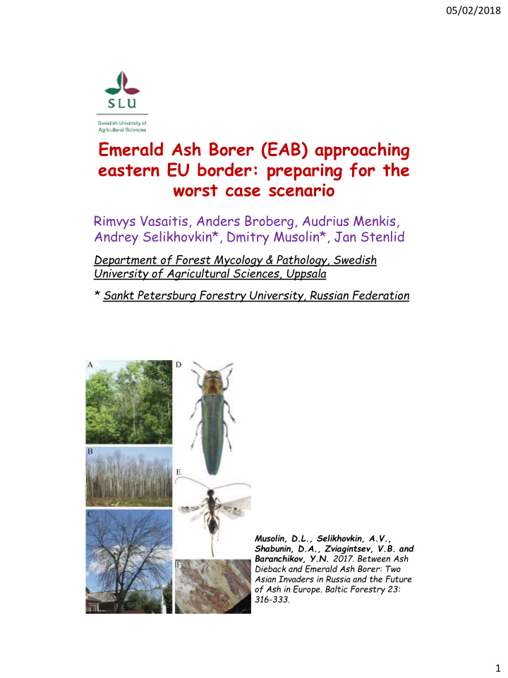 emerald ash borer eab approaching eastern eu border