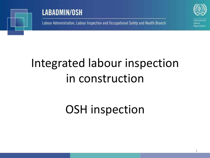 integrated labour inspection in construction osh