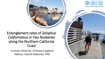 along the  alo  he Nor  orthern Ca  Calif  lifornia  Co  Coast  A senior thesis by: Christina