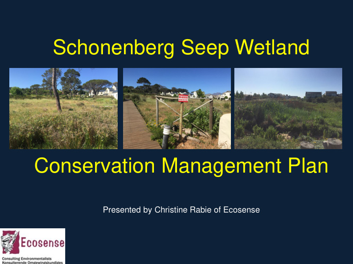 schonenberg seep wetland conservation management plan