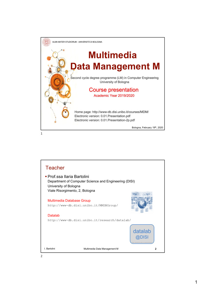 multimedia data management m