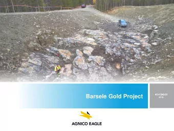 Barsele Gold Project  2016  Forward Looking Statements  The information in this presentation has