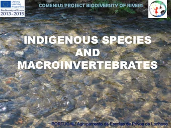 INDIGENOUS SPECIES  AND  MACROINVERTEBRATES  COMENIUS PROJECT BIODIVERSITY OF RIVERS  INDIGENOUS