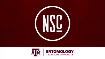 ADVISING TEAM  MS. ANN POOL  SR. ACADEMIC ADVISOR  404 HEEP BLDG.  annpool@tamu.edu