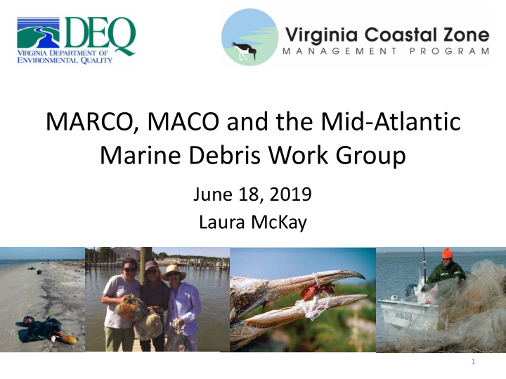 marco maco and the mid atlantic marine debris work group