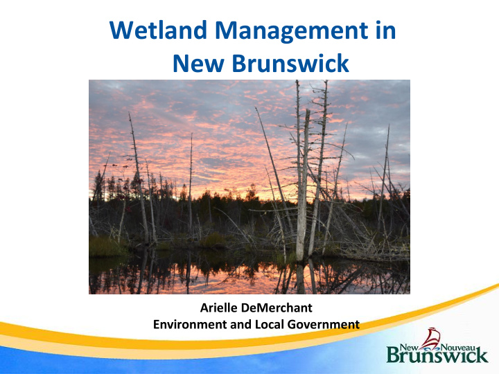 wetland management in new brunswick