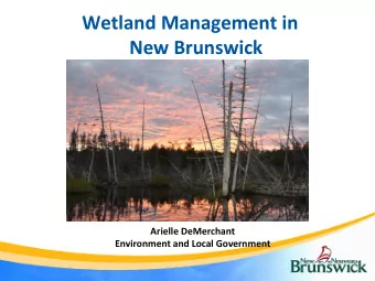 Wetland Management in  New Brunswick  Arielle DeMerchant  Environment and Local Government  What is