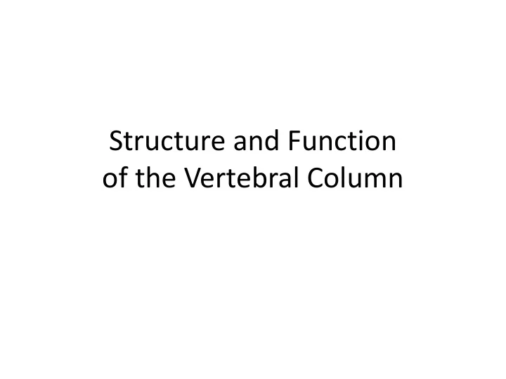of the vertebral column spine