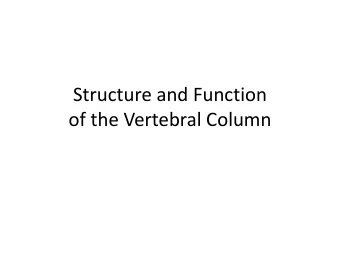 of the Vertebral Column  Spine  33 vertebral segments  divided into 5 segments  Cervical: 7