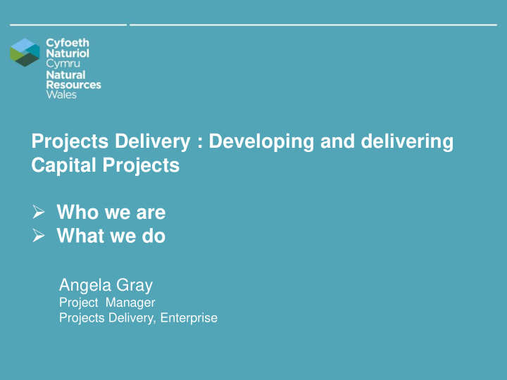 projects delivery developing and delivering capital