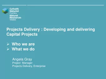 Projects Delivery : Developing and delivering  Capital Projects  Who we are  What we do