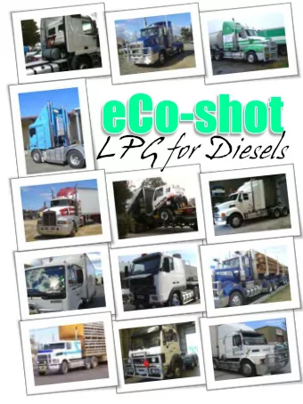 eCo-shot delivers  Improved Fuel Economy  More Power  Reduced Emissions  Cleaner Oils