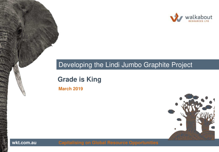 developing the lindi jumbo graphite project grade is king