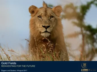 Gold Fields  REINVESTING FOR THE FUTURE  Diggers and Dealers, 8 August 2017  Forward looking