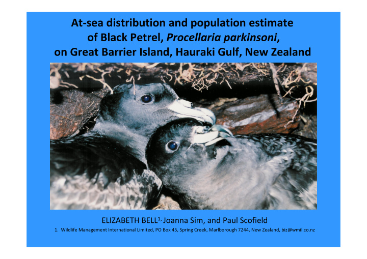 at sea distribution and population estimate of black
