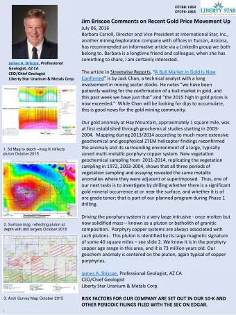 Jim Briscoe Comments on Recent Gold Price Movement Up  July 06, 2016  Barbara Carroll, Director and