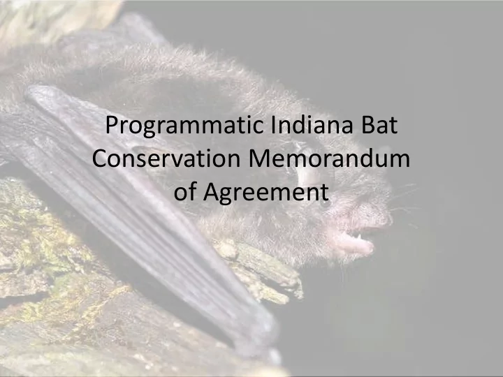 programmatic indiana bat conservation memorandum of