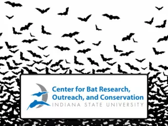 Outreach Programs  In 2015 we reached ~3,000 people  Bat Festival - 1,000 people  Terre