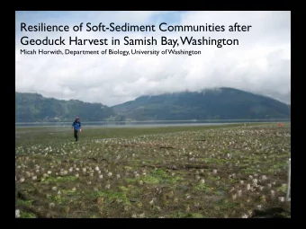 Resilience of Soft-Sediment Communities after  Geoduck Harvest in Samish Bay, Washington  Micah