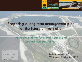 Preparing a long term management plan  for the future of the Slufter  An analysis of the