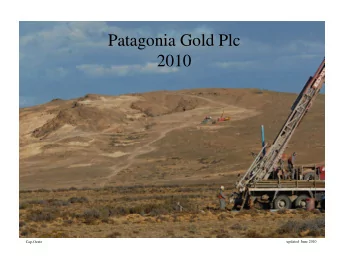 Patagonia Gold Plc  g  2010  Cap-Oeste  updated  June 2010 Patagonia Gold  AGM VOTING 2010  g