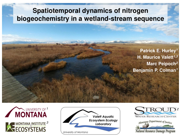 spatiotemporal dynamics of nitrogen biogeochemistry in a
